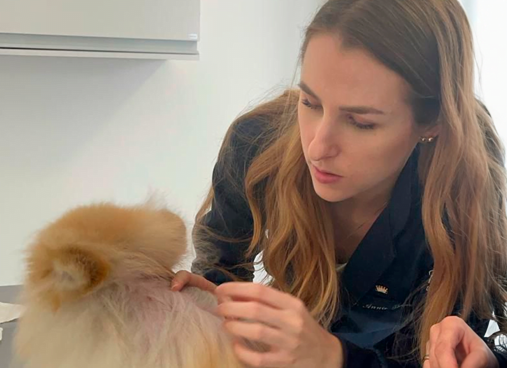 PETDERMA: Especialistas em Dermatologia Veterinária em São Paulo