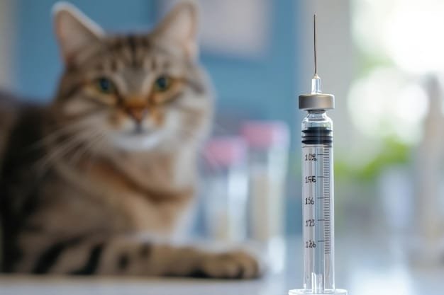 Vacinação Em Pets: Como Proteger A Pele E Evitar Doenças Dermatológicas Graves 3 Vacina Alergia Gato