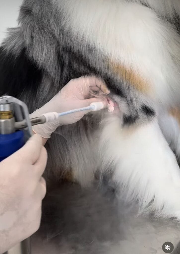 Exames Dermatológicos