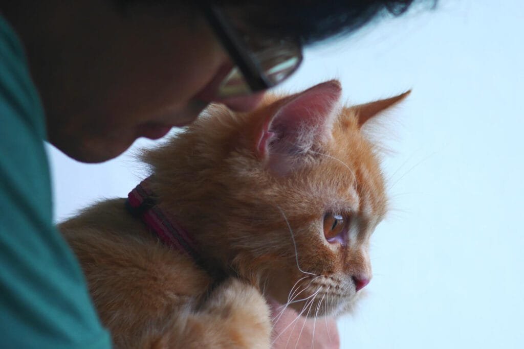 Ambiente Externo e Saúde da Pele dos Pets: Como o Clima e o Espaço Afetam Cães e Gatos