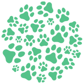 Petderma: Especialistas Em Dermatologia Veterinária Em São Paulo - Encontre O Melhor Cuidado Para Seu Pet Com A Petderma, Sua Clínica Especializada Em Dermatologia Veterinária Em Sp. Tratamentos Inovadores Para Cães E Gatos.