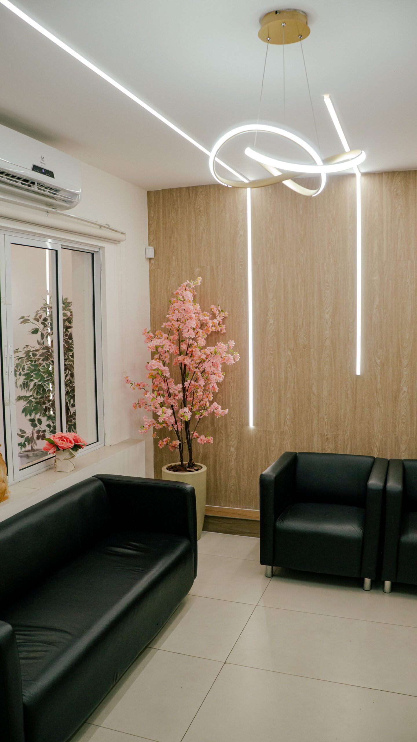 Petderma: Especialistas Em Dermatologia Veterinária Em São Paulo - Encontre O Melhor Cuidado Para Seu Pet Com A Petderma, Sua Clínica Especializada Em Dermatologia Veterinária Em Sp. Tratamentos Inovadores Para Cães E Gatos.