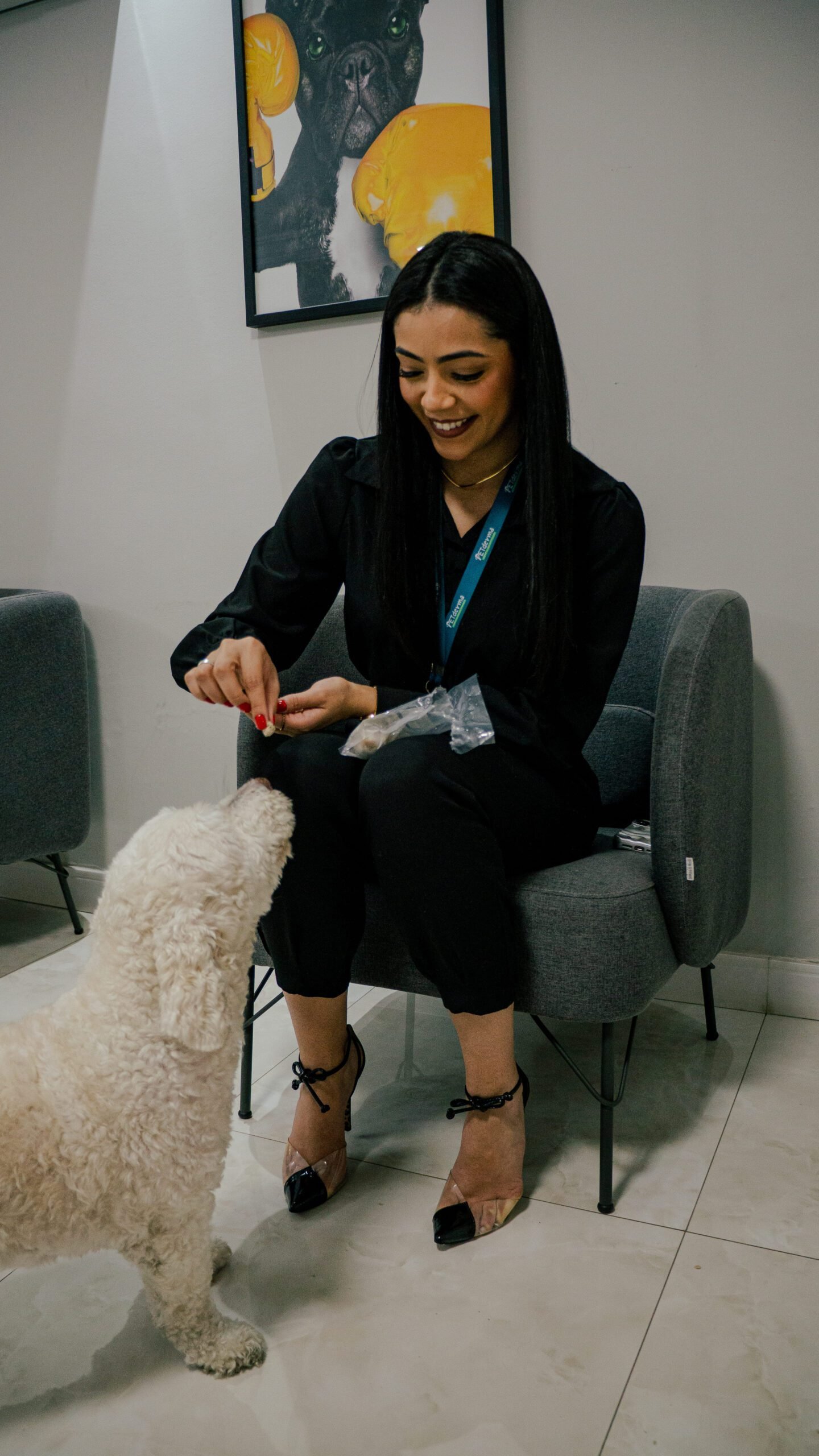 Petderma: Especialistas Em Dermatologia Veterinária Em São Paulo - Encontre O Melhor Cuidado Para Seu Pet Com A Petderma, Sua Clínica Especializada Em Dermatologia Veterinária Em Sp. Tratamentos Inovadores Para Cães E Gatos.