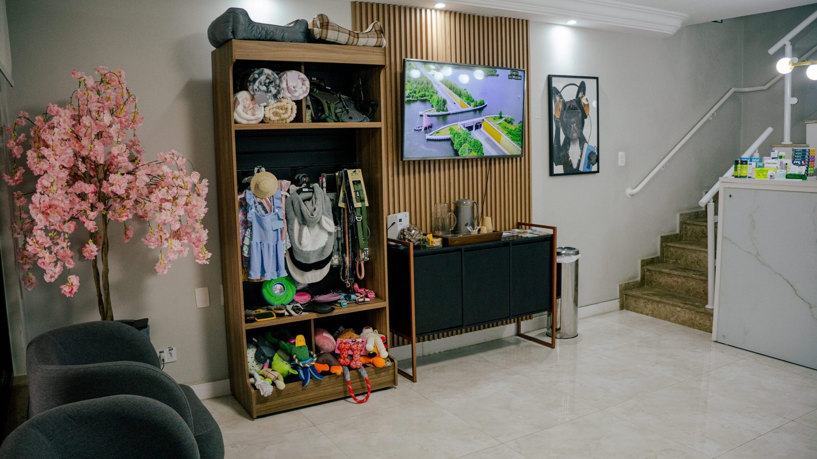 Petderma: Especialistas Em Dermatologia Veterinária Em São Paulo - Encontre O Melhor Cuidado Para Seu Pet Com A Petderma, Sua Clínica Especializada Em Dermatologia Veterinária Em Sp. Tratamentos Inovadores Para Cães E Gatos.