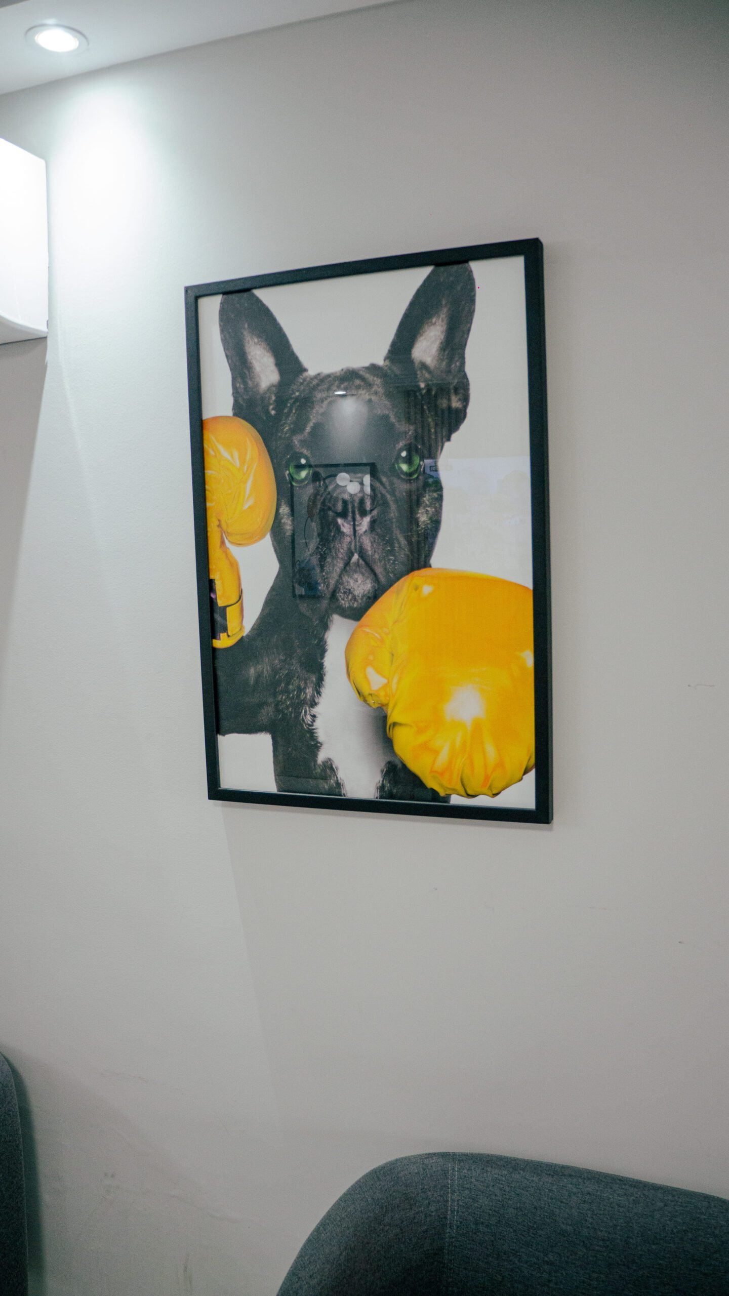 Petderma: Especialistas Em Dermatologia Veterinária Em São Paulo - Encontre O Melhor Cuidado Para Seu Pet Com A Petderma, Sua Clínica Especializada Em Dermatologia Veterinária Em Sp. Tratamentos Inovadores Para Cães E Gatos.