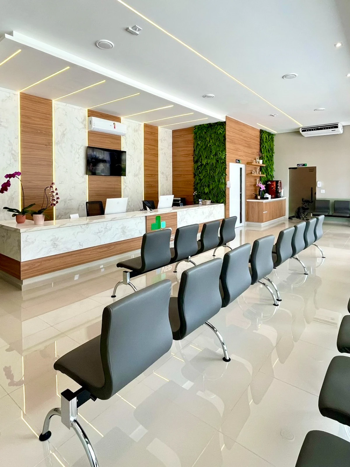 Petderma: Especialistas Em Dermatologia Veterinária Em São Paulo - Encontre O Melhor Cuidado Para Seu Pet Com A Petderma, Sua Clínica Especializada Em Dermatologia Veterinária Em Sp. Tratamentos Inovadores Para Cães E Gatos.