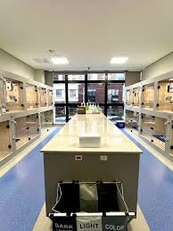 Petderma: Especialistas Em Dermatologia Veterinária Em São Paulo - Encontre O Melhor Cuidado Para Seu Pet Com A Petderma, Sua Clínica Especializada Em Dermatologia Veterinária Em Sp. Tratamentos Inovadores Para Cães E Gatos.