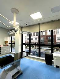 Petderma: Especialistas Em Dermatologia Veterinária Em São Paulo - Encontre O Melhor Cuidado Para Seu Pet Com A Petderma, Sua Clínica Especializada Em Dermatologia Veterinária Em Sp. Tratamentos Inovadores Para Cães E Gatos.